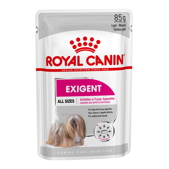 48 x 85 g Royal Canin -märkäruoka: 36 + 12 kaupan päälle! - Exigent (48 x 85 g)