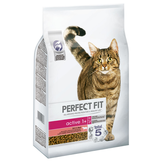 Perfect Fit Active 1+ Rich in Beef - säästöpakkaus 2 x 7 kg