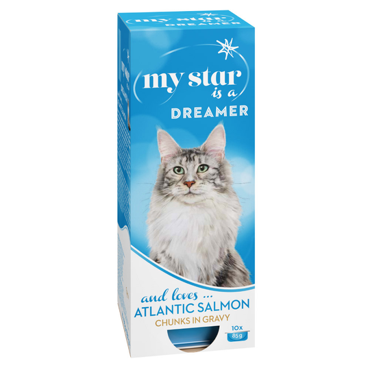 Säästöpakkaus: My Star kastikkeella 60 x 85 g - Dreamer - Atlantin lohi