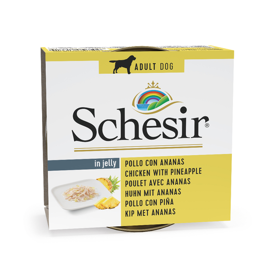 Schesir-säästöpakkaus 24 x 150 g - kana & ananas